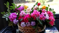 ❤ ❤ ❤ Мелодия, которая лечит душу - Lets Get it Started (Short Version) -- BoDleasons -- Legacy, Vol
