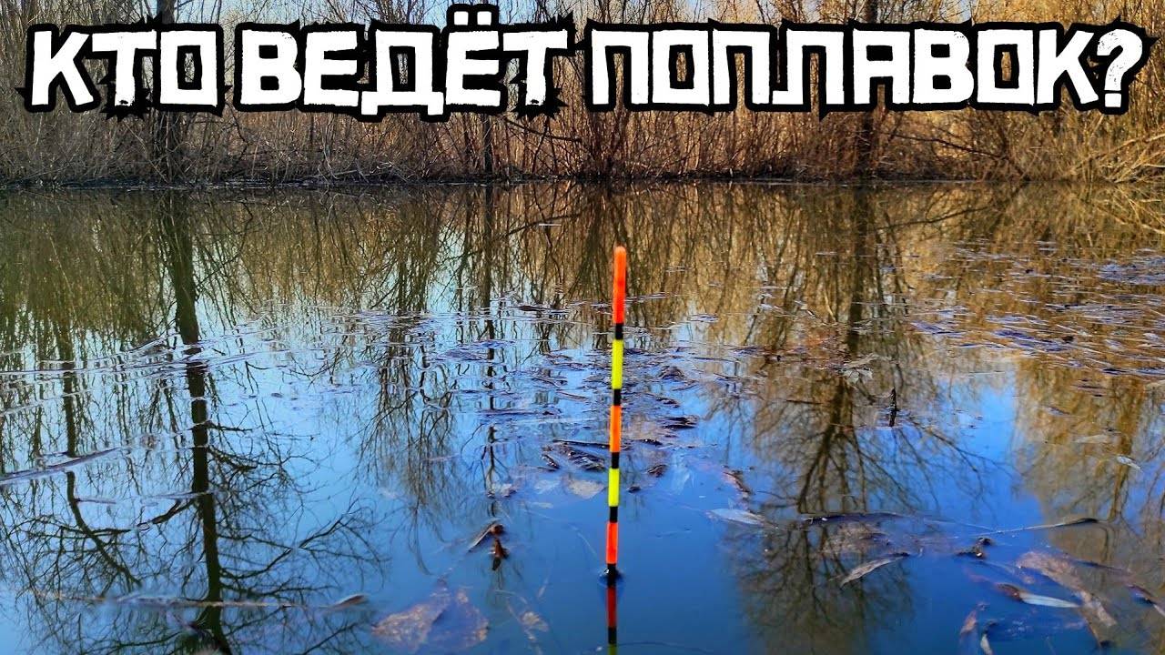 ВЕСЕННИЙ РАЗЛИВ ВЫДАСТ КРУПНЯК?! ОНО клюёт в ТАЛЬНИКЕ! Рыбалка на поплавок и фидер 2025