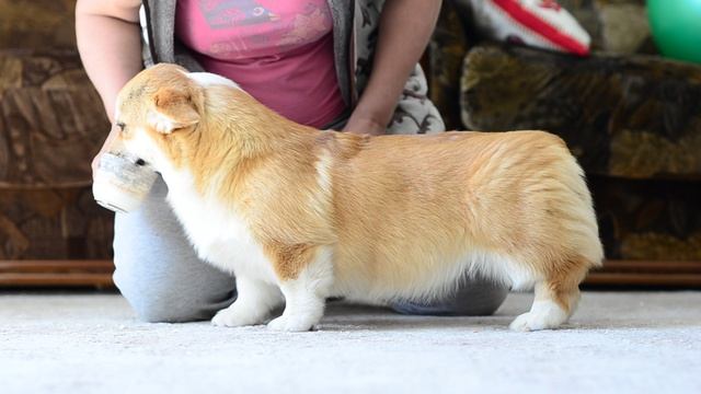 DSC_1115