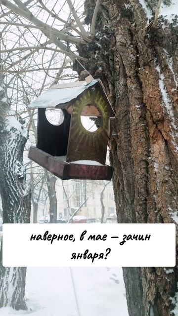 ❄️🍃снег в апреле — машина времени? #стихи #весна #кра