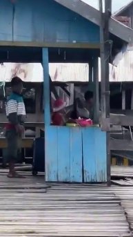 В Индонезии крокодилы научились заманивать людей в воду