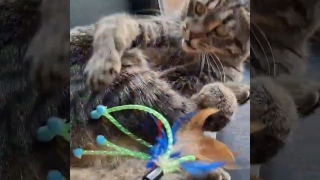 VN20250504_212822.mp4