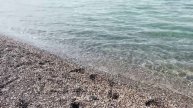 Сокровища_императора_2_сезон_5_выпуск_АНОНС
