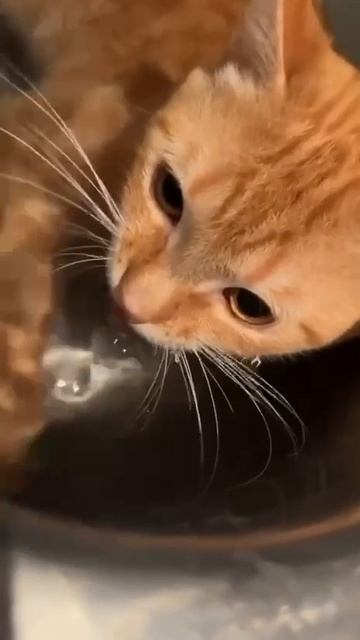1000039374.mp4