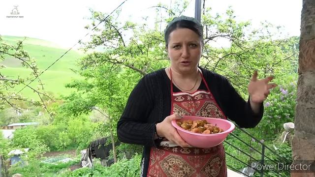 Շամշադինի Համը