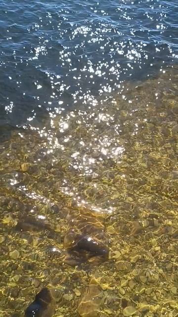 Вода в Камышинке