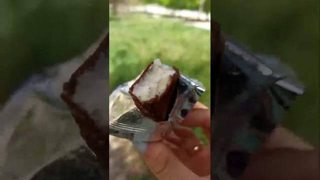 дегустация из Чижика за 27 руб