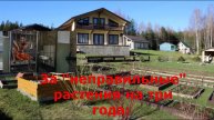 За "неправильные" растения на дачах можно сеть на три года: В Роскачестве предупредили граждан Росси