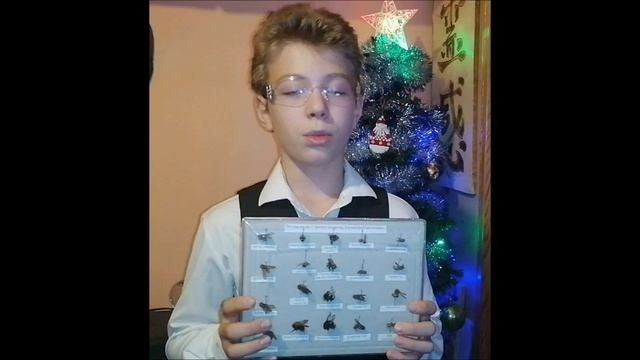 професор 2024