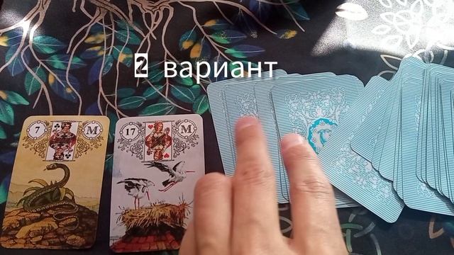 Совет от карт на сегодня
