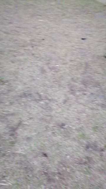 Уличный Бейсбол. Часть 2