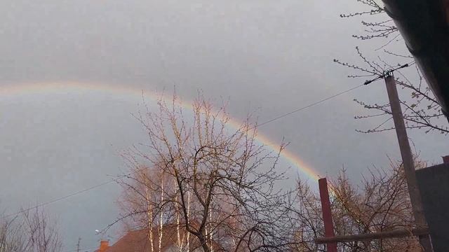Первая радуга, нарциссы и мои питомцы!