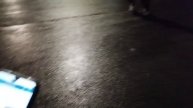 89 Видео от НФО Мир через Культуру