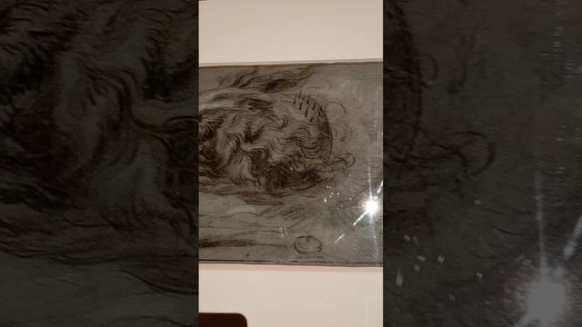 Ян Фейт. Бегущая лисица. Голова собаки. Собака на охоте.