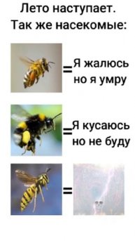 Типичное лето