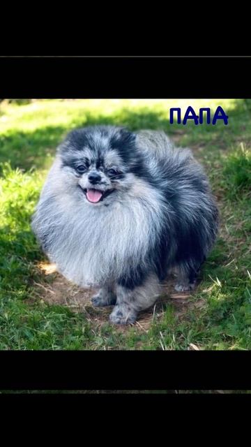 206D6C56-A538-43F2-9238-D4773888B81F