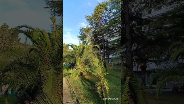 ПРИВЕТ ИЗ СОЛНЕЧНОЙ 🆎АБХАЗИИ