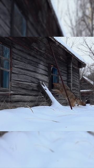 Тайна, которая шепчет: что случилось тридцать лет назад в этом месте?