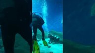 video_2025-05-04_14-02-26