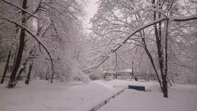Снег пушистый всё укрыл