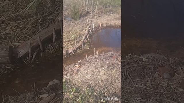 Благоустройство берегов ручья