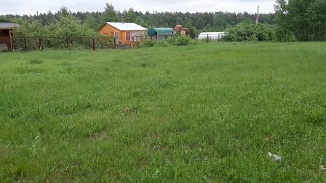 Egorievsk Video