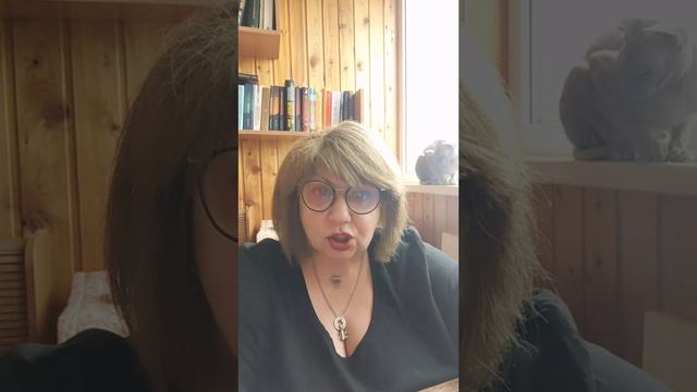 4 лекция 1 часть Компания одного человека