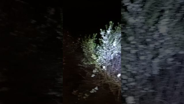 1000602068.mp4
