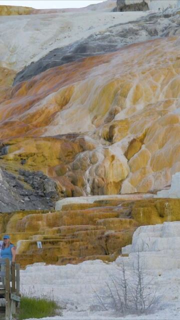 Расслабление с Природой