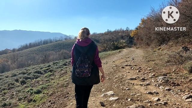 Прогулка в окрестностях Алушты. Как выглядят лавандовые поля в ноябре.