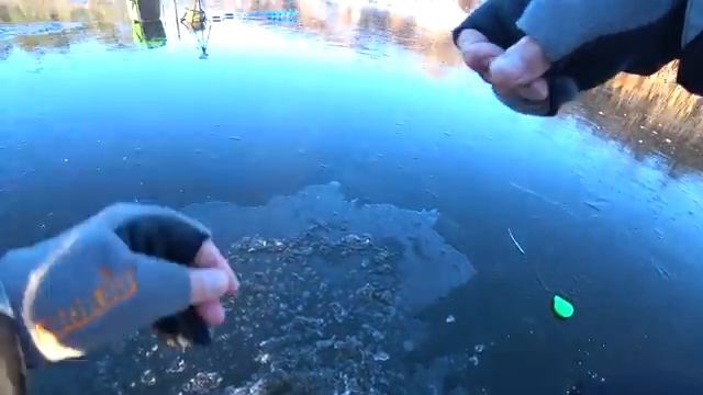 Первый лед 2020-2021