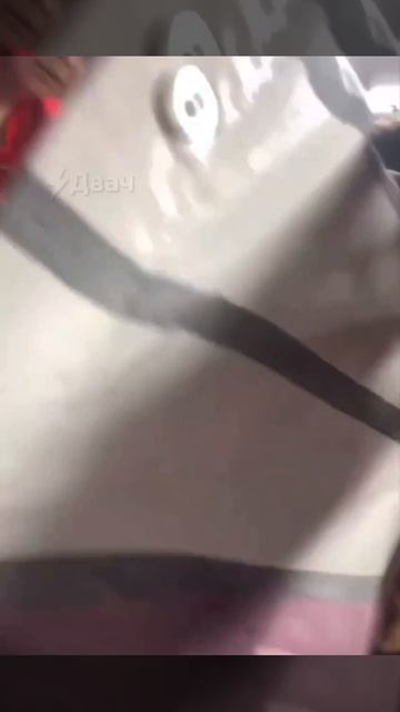 ЧЁРНАЯ ПЯТНИЦА НА КАВКАЗЕ: в Кизляре дагестанцы разнесли магазин из-за кроссовок по 99 рублей.