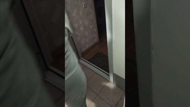 VID_20250504_200004.mp4