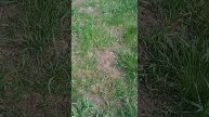 тротуарная плитка ,как броня