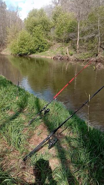 Приехали на Нольку! на РЫБАЛКУ!) на старое место!) 04.05.2025 года #fishing #рыбалка