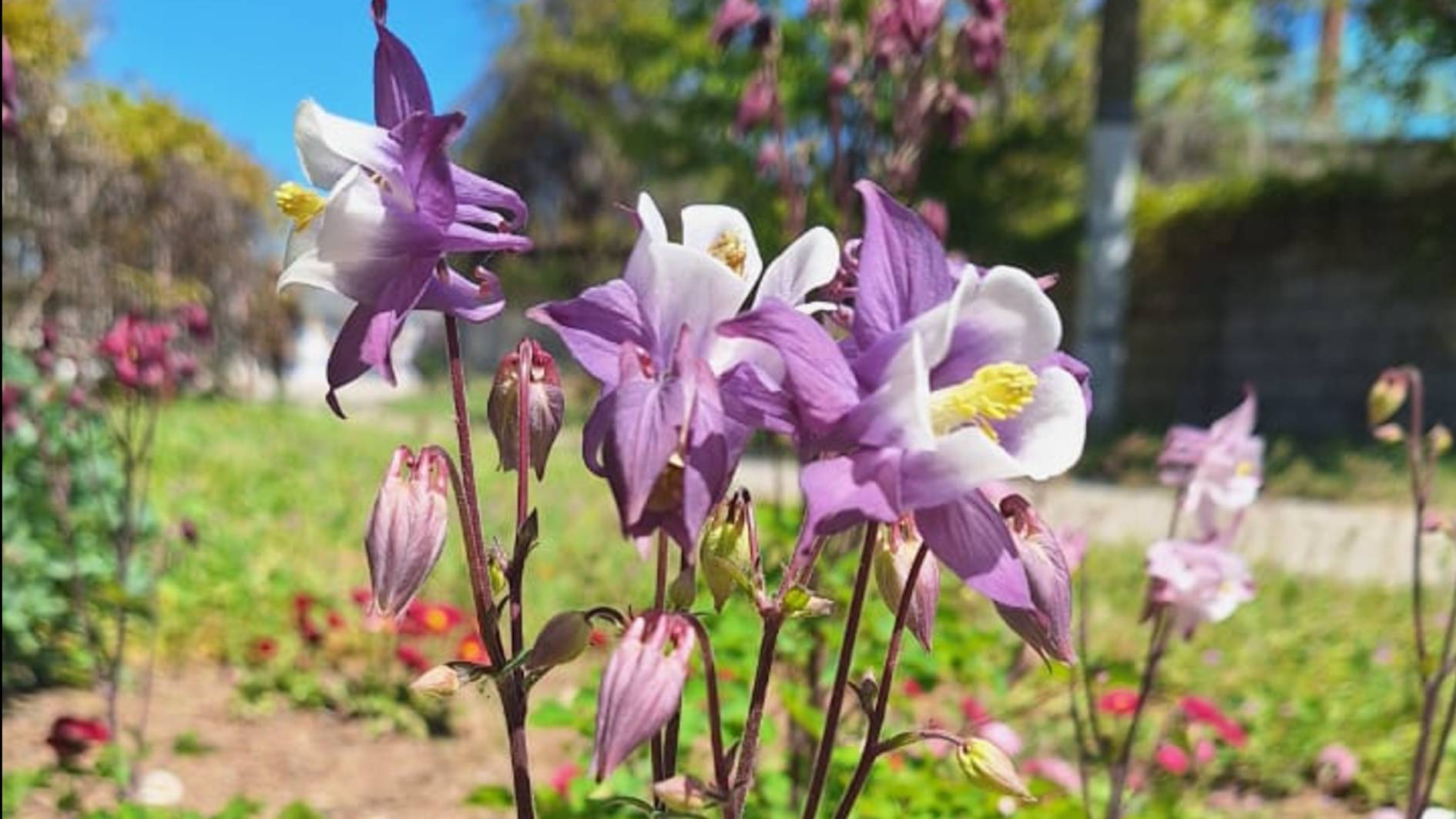 Пляжи черноморского побережья, где нет МАЗУТА