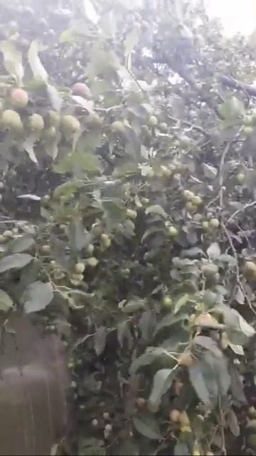 Так бывает тоже. Архив.
