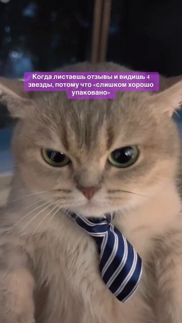 Что бы ты ответил на такой отзыв?