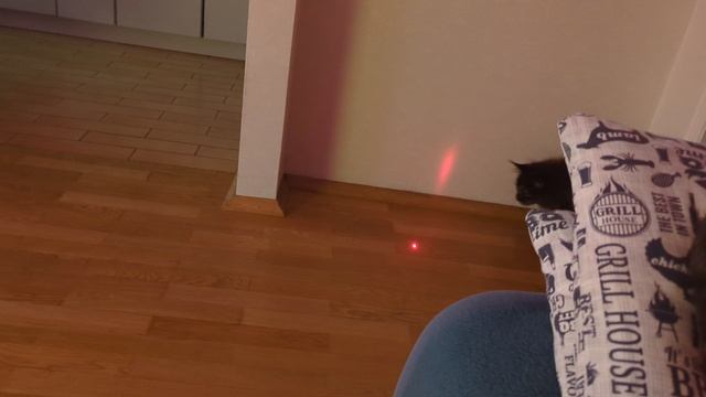 Когда-нибудь я обязательно поймаю и съем эту красную точку! И точка!