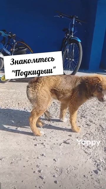 #рекомендации #топ #россия #top