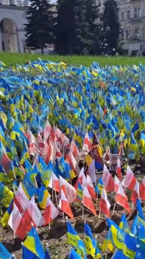 🔴Урожай из курв (kurwa). Издохли за бандеру🔴