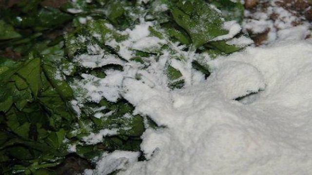 Котлеты из чечевицы