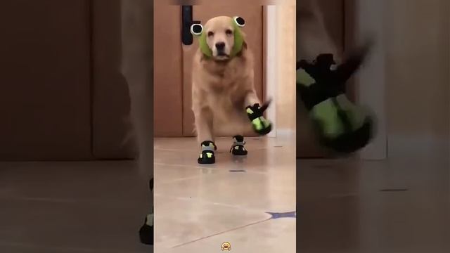 1000003690.mp4