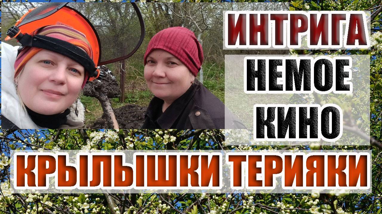 34. ШИНЫ ОТ СОСЕДКИ И НЕМОЕ КИНО. ЧТО МЫ ТВОРИМ НА УЧАСТКЕ?