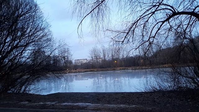 Влог: Пробую новинку в парке / Пересаживаю подарок от мужа )