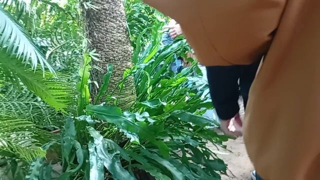 1000006522.mp4