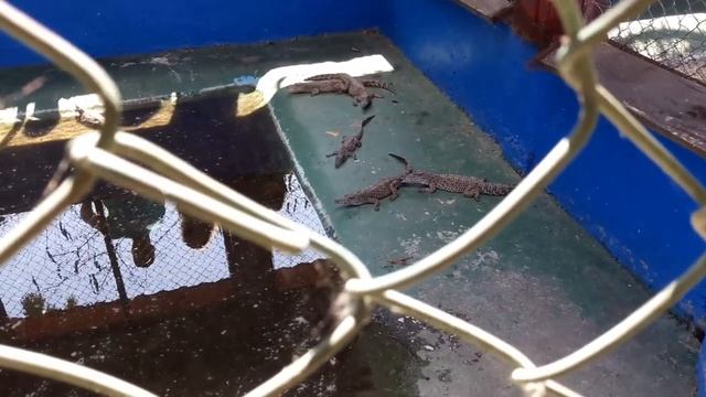 CUBA  Карибское море