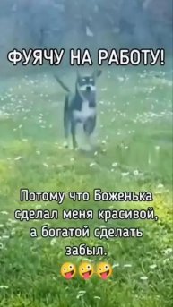 Доброе утро 🤣