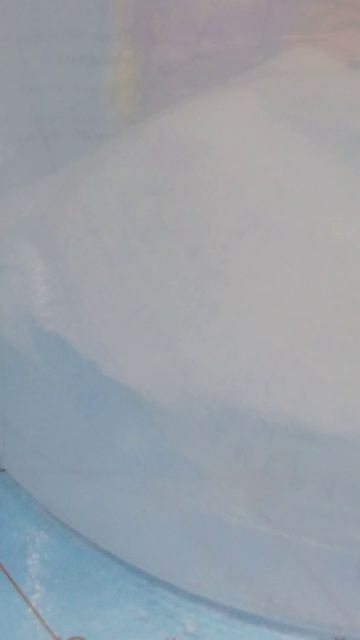 мой домашний паук