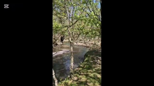 ДЛЯ МОЩНОЙ ПОТЕНЦИИ И ТЕСТОСТЕРОНА УПРАЖНЕНИЯ